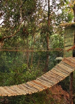 [图]荒野建筑大师