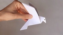 学习如何折纸一只和平鸽