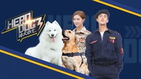 Watch the latest Hero Dog (Season 3) Episode 11 with English subtitle English Subtitle