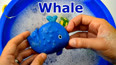 带你认识海洋里的蓝鲸玩具