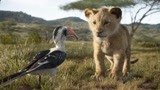 2分钟看完《狮子王》真人版上映前你必须要知道的内容！