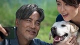 1700万盲人只有200只导盲犬，任达华梁咏琪新电影《小Q》赚足眼泪