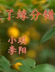 错过了缘分错过了你简谱_雷佳 作曲演唱的歌曲 敦煌谣 方文山词