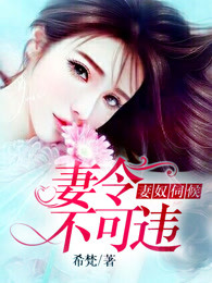 妻奴伺候：妻令不可违