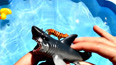 带你认识海洋里凶猛的虎鲨玩具
