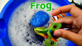 学习认识水里的跳跃的青蛙玩具