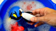 带你认识生活在南极的企鹅玩具