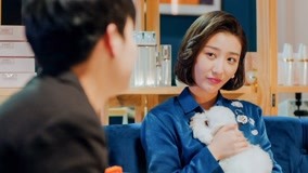 Watch the latest Modern Couples (Season 2) Episode 9 (2019) online with English subtitle for free English Subtitle