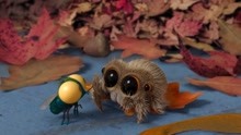 《小蜘蛛卢卡斯》趣味萌物小动画——天要塌了！