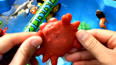 带你认识在海里玩耍的红色螃蟹玩具