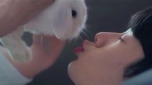 龙拳小子：刘芮麟做梦梦到美女，正噘嘴想亲，睁眼一看是兔子