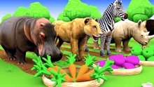 河马狮子犀牛吃蔬菜变色