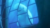 海底总动员：鲸鱼使出回声定位，终于找到了多莉，下一秒笑喷！