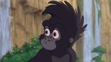 《泰山（普通话）》少年泰山竟然被小猴子嘲讽！