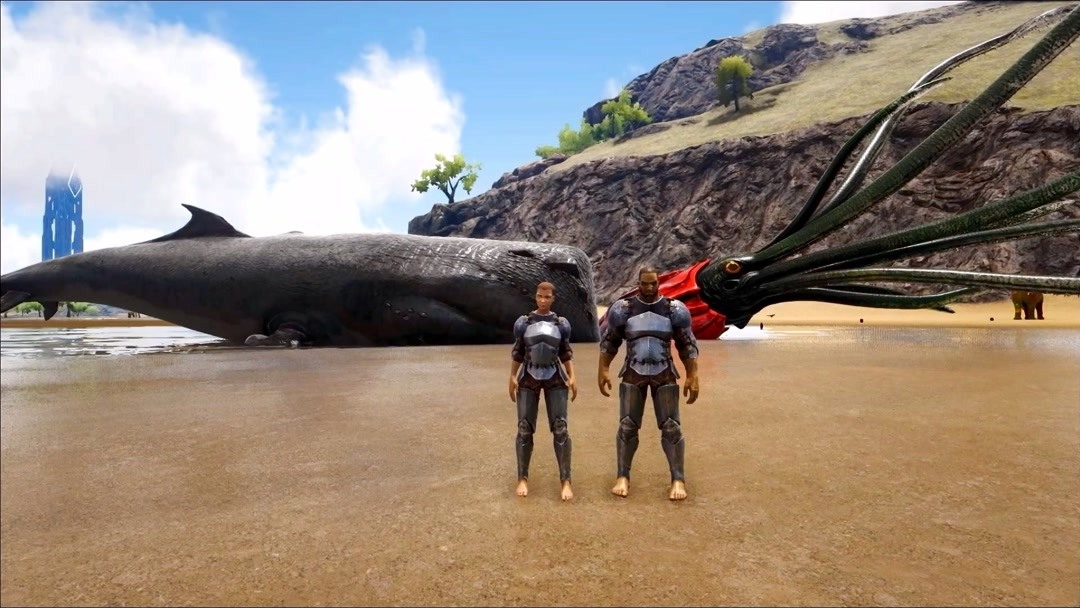 托斯特巨鱿挑战抹香鲸