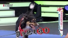 綜藝大熱門 2020-01-01