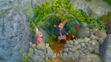 彼得兔搞笑：整天被狐狸追赶的兔子们需要一个安全的新家