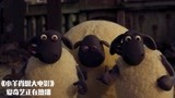 小羊肖恩大电影：小羊肖恩不开心，小羊们唱歌跳舞，哄他开心