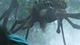 巨鳄岛：这个岛太恐怖了，昨天被鳄鱼追着跑，今天又有巨型蜘蛛！
