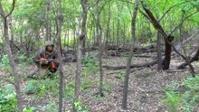俄罗斯Gorka套装，在植被茂密的林地环境中，测试其伪装效果！