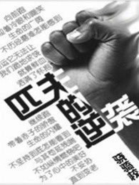 匹夫的逆袭