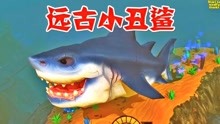 小丑鲨鱼VS巨齿鲨皇帝