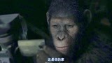 猩球崛起2：猿王凯撒看着老主人的视频，回顾着往昔，伤心到泪崩