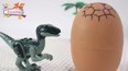 恐龙蛋竟然孵化出了鹦鹉