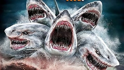 注意深海巨鲨饥饿来袭