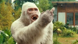 狂暴巨兽：大猩猩真调皮，强森想和他击拳，却被他竖起中指捉弄