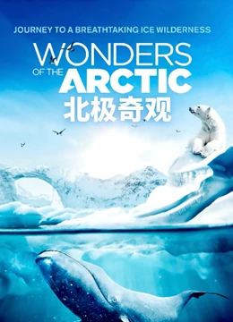 北极奇观}