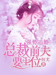 强势追婚，总裁前夫要上位