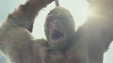 狂暴巨兽：大猩猩为保护男主，大战巨型变异鳄鱼，太感人了！