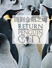 回到企鹅之城