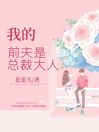 我的前夫是总裁大人