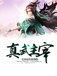 真武主宰