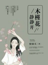 木槿花静静开
