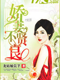 娇妻不贤良