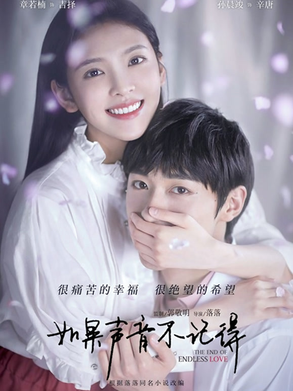 如果声音不记得 剧情简介