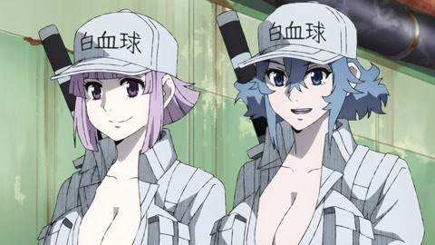 Cells At Work! Code Black' Anime Previews 11th Episode