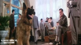 上海皇帝：杜月笙被绑架，竟然被家里的狗救了，真没白养！