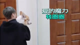 【潮流合伙人】刘雨昕回家第一件事就是找狗子，抱着转圈照镜子