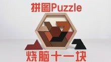 [图]拼图Puzzle：烧脑十一块！8种拼图如何完美放入框内？