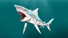 【莱斯利】深海惊魂：头上长珍珠,身上嵌黄金的大白鲨