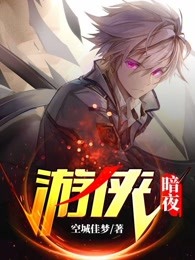 游侠：暗夜