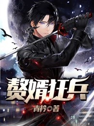 赘婿狂兵