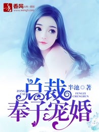 总裁奉子宠婚