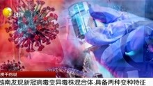 越南发现新冠病毒变异毒株混合体:具备两种变种特征
