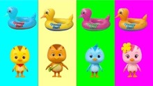 儿童益智玩具，帮助萌鸡小队大宇朵朵麦奇欢欢选择正确游泳圈