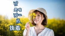 [图]醉人情歌《你是我唯一的执着》拥有你，是我一生的精彩